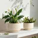 Succulent Pots, 8 Inch + 6 Inch Plant Pots for Plants with Drainage Hole, Indoor Outdoor Ceramic Planter, Set of 2 Round Flower Pots for Succulent and Plants, Beige