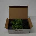Der Rose Fake Plants 4 Packs Artificial Plants Small Faux Plants Black Bathroom Accessories for Bathroom Home Office Desk Decor Indoor (Green)