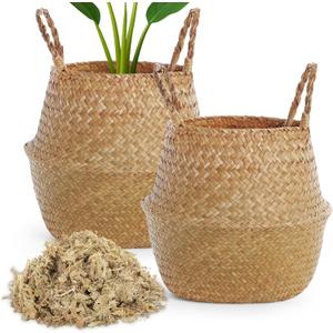 Large Wicker Plant Basket with Handle 10 Inch Woven Seagrass Belly Basket and Artificial Moss for House Plants Picnic Grocery Laundry Storage Home Decor(Large,Original,2 Pack)