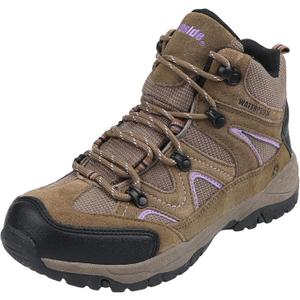 Northside Women's Snohomish Waterproof Hiking Boot (8, Tan/Periwinkle)