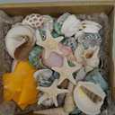 Sea Shell Mixed Ocean Shells Set, 15 Kinds 1.2"-2.7" Various Sizes Natural Seashell & Starfish for Beach Themed Decor, DIY Crafts, Vase Fillers, Fish Tank, Home, Wedding and Party Decoration