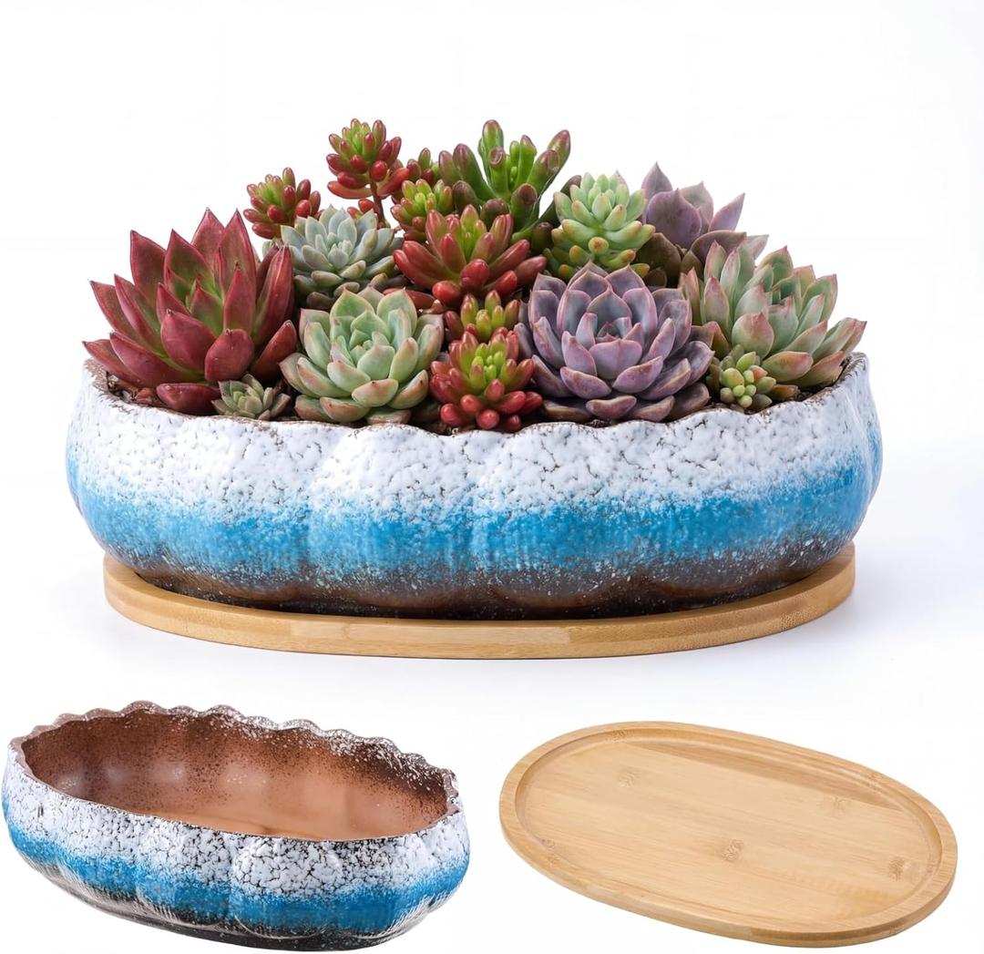 12.2 Inch Large Window Sill Planters Succulent Planter Pot with Tray, White Blue Gradient Glazed Ceramic Shallow Bonsai Planter, Lotus-Shaped Indoor Pot for Cactus & Succulents