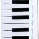 Windkey Electronic Melodica, Breath Control MIDI Keyboard Controller