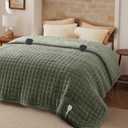 Bedsure Electric Blanket Queen Size - Dual Control Heated Weighted Blanket Queen with 10 Heat Settings, Fast Heating with 10 Time Settings (84x90 inches, Olive Green)