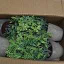 FAVOWREATH 4 Pack Fake Plants Ceramic Mini Artificial Greenery Potted Plants for Home Decor Office Decor Room Decor Farmhouse Decor Indoor Table Bathroom Decor (Grey)