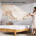 Pacific Coast Lightweight Goose Feather Down Fiber Comforters Queen Size, Summer Duvet Insert, Ultra Soft, Breathable, Hotel Luxury Bedding Comforter with 8 Tabs, Beige, 90 x 90 inches