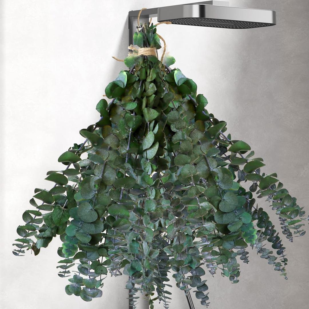 30Pcs Dried Eucalyptus for Shower Hanging-17''Preserved Real Fresh Eucalyptus for Green Home Decor,100%Made from Fresh Eucalyptu Leaves Plant,Bathroom Shower Decor,Wedding Decor