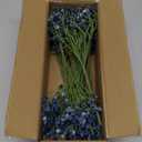 DILATATA Baby's Breath Artificial Flowers Bulk 12 pcs Faux Baby Breath Plastic Flower Fake Gypsophila Flower Arrangement for Crafts Fake Flowers Bouquet for Wedding Centerpieces Blue Baby Breath