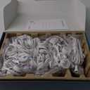 Lepro E1 AI Permanent Outdoor Lights APP Control, 100ft 60 LED Smart RGB+IC+Warm/Cool White House Eave Light for Halloween Christmas, Alexa Google Enabled, 2.4 GHz WiFi/Bluetooth, NO Remote Controller