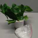 Mkono Fake Plants in Ceramic Pot, 11" Potted Artificial Plants for Home Decor Indoor Faux Green Leaf Plant with Modern White Planter for Desk Shelf Office Room Decoration (Pothos) (Small)