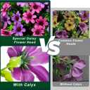 4 Pcs Artificial Fake Hanging Flowers Plants for Outdoor Decoration, Faux Daisy with Eucalyptus Leaves Fade Resistant Long Trailing Vines for Front Door Porch Balcony Patio (Light Purple Pink)