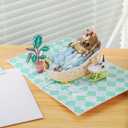 2 x Liif 3D Pop Up Birthday Card for Women, Mom, Friend, Sister, with Message Note & Envelop, Size 7 x 5 inch (Take A Paws Today)