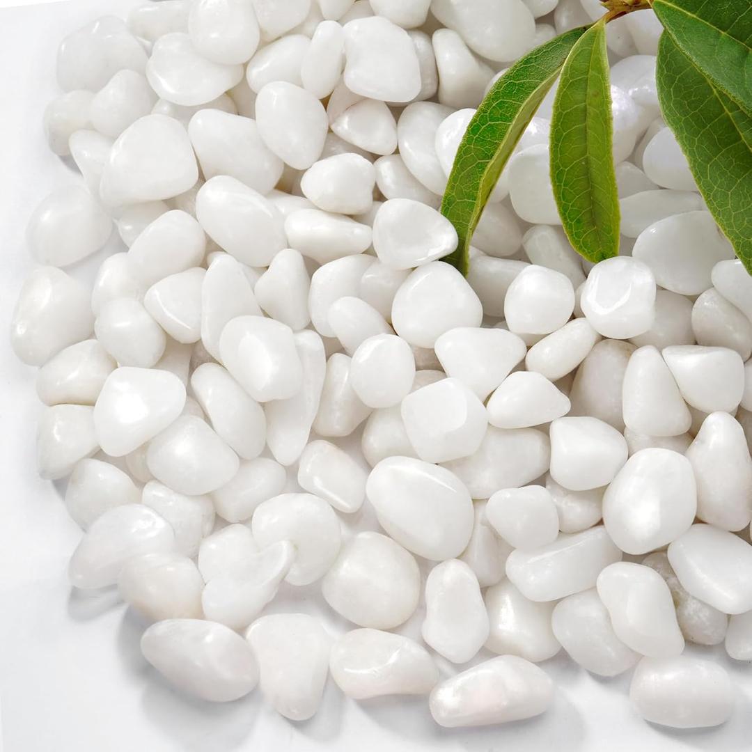 2.2 lb Natural Polished White Pebbles, 1/2 Inch Decorative White Rocks for Potted Plants Pot Filling Aquariums Outdoor Street Scape Decorative Rocks