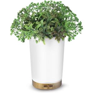 Essential Oil Diffuser, 150 ml Aromatherapy Diffuser, Green Leaf Diffuser for Essential Oils, Oil Diffuser for Bedroom Home Office, Waterless Auto Shut-Off, Super Quiet