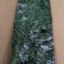 TURNMEON Dual Color Change 6.5 Ft Prelit Pencil Christmas Tree 8 Modes Timer Warm White & Multicolor Lights 826 Thick Branch Artificial Slim Xmas Tree Christmas Decorations Indoor Outdoor Home Holiday (Spruce Green-warm White Change Multicolor-8 Modes)