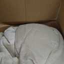 Bedsure Fluffy Comforter Set Queen - Light Beige Faux Fur Queen Comforter, Soft Shaggy Plush Bubble Bedding Comforter Sets, Winter Warm Luxury Fuzzy Bed Set 3 Pieces, 1 Comforter and 2 Pillowcases