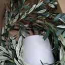 Timoo Faux Olive Tree Olive Trees Artificial Indoor with White Planter (5 FT)