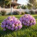 Suncalla Purple 2 Set Artificial Boxwood Topiary Ball Trees with Hydrangea Flower, 19.7" UV Resistant Outdoor Faux Plants with Ground Spike for Planter Front Door Home Indoor Porch Patio Decor