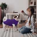 Kuoser Large Dog Coat, Windproof Dog Jackets for Large Dogs, Warm Pet Coat with Harness Built in, Doggie Cold Weather Coats Snow Jacket for Labrador Beagle, Purple XXL (XXL (Chest Girth: 35.4''))