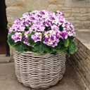 2 Pcs Artificial Geraniums for Outdoor Silk Geranium Flowers Purple Artificial Geranium Bush Faux Flowers Geraniums Branch for Garden Patio Cemetary Vase Table Centerpiece Indoor Decor