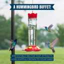 2 x MEKKAPRO Premium Hummingbird Nectar - 60oz - Attract, Delight, and Energize Your Garden with Our Irresistible Sugar-Packed Formula - No Mess, No Fridge Needed - Ready-to-Use Convenience (EXP 12/01/26)