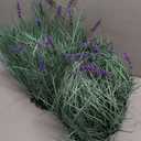 Fake Lavender Flowers with Greenery – Tall Artificial Lavender Plant, UV Resistant Faux Outdoor Decor for Garden, Patio, Lawn, Planters (2, Green)