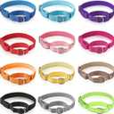 Cunno 12 Pcs Martingale Collar for Medium Dogs Reflective Dog Collar with Durable Metal Buckle Adjustable Nylon Pet Prevent Slipping Out for Pupplies, 12 Colors(Small)