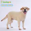 LovinPet UPF 50+ Dog Sun Protection Shirt for Dogs, 4-Way Stretch Nylon, Lightweight Anti-Static Quick-Dry UV Layer, Indoor Shedding Control and Winter Base Layer,Beige White,XL