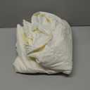 Lush Decor Ruffle Shower Curtain | Floral Textured Vintage Chic Farmhouse Style Design, Ivory, 72" x 72"