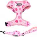 Dog Harness and Leash Set, Adjustable Dog Harness, Dog Leash, No Pull No Choke Puppy Harnesses for Walking Training for Small Medium Pet (Strawberries, M(Chest 15.7-22.1", Neck 12-15"))