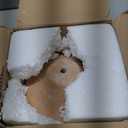 6" Rustic Weathered Terracotta Plant Pot with Drainage Saucer, Breathable Clay Planter, Mid-Century Modern Home & Garden Decor