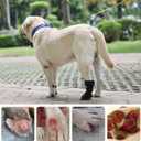 ETIAL Dog Paw Wound Recovery Boot, Breathable Dog Bootie for Injured Paw, Anti-Slip Dog Shoe with Self-Adhesive Strap, Dog Paw Protector for Outdoor Walking & Keep Dogs from Licking Wounds (L)