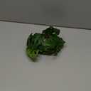 Reptile Plants for Terrarium, Amphibian Habitat Decor Artificial Hanging Plants with Suction Cup - Fake Swiss Cheese Plants Monstera Adansonii