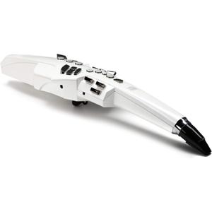 Roland Aerophone Digital Wind Instrument, White (AE-10)
