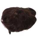 Boy Curly Short Wig Boy Fluffy Texture Curly Short Synthetic Hair for Childern Dark Brown