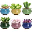 Okllen Set of 6 Small Succulent Pots, Ceramic Succulent Planters Stylish Crackle Glaze Design with Drainage Holes for Indoor/Outdoor Small Plants, Plants Not Included