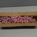 Feitore 30 Pack Snow Frosted Red Berry Stems 8.9" Holly Frosted Berry Picks Snowy Artificial Red Berries for Christmas Tree Filler Picks and Sprays Holiday DIY Crafts Christmas Decor