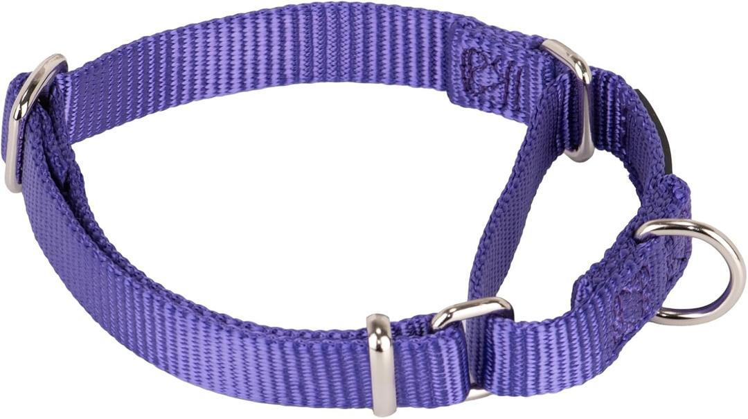 Hyhug Martingale Collar for Dogs Small Purple |Escape - Proof Heavy Duty Nylon Durable No Buckle, Ideal for Training & Daily Walks (Ultra violet)