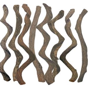 BNOSDM Reptile Forest Climbing Branch Decor Crested Gecko Climb Wood Natural Branches Tree for Snake Frog Chameleon Spider Bearded Dragon Terrarium Habitat Tank Accessories, 8PCS XL