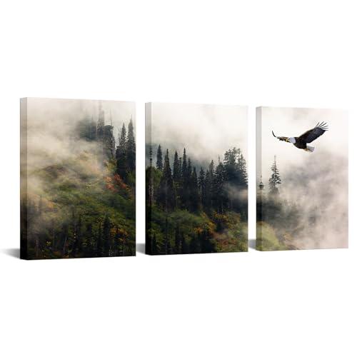 Biuteawal 3 Piece Eagle Wall Art Bald Eagle Flying in Green Mountain Forest Landscape Poster Painting Prints Cool Wild Animal Picture Artwork for Bedroom Office Living Room Home Decoration
