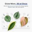 Plant Propagation Station, 24 Floral Tubes, Floral Arrangement Kit, Modern Acrylic Desktop Rack with Propagation Tubes for Hydroponics Rooting Cuttings, Bud Vase Holder, Plant Lover Gift