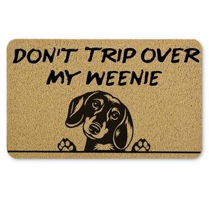 Qnhij Weiner Dog Door Mat, Funny Dachshund Door Mat, Weiner Dog Decor, Dachshund Doormat Outdoor, 17x30 Inches