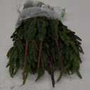 12Pcs Realistic Norfolk Pine Branches -18Inch Artificial Real Touch Christmas Pine Stems Picks Greenery Fake Cedar Pine Branch for Vase DIY Crafts, Xmas Indoor Outdoor Home Decor