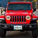 Palm License Plate Frame - Colorful Palm License Plate Holder, Rust-Proof Auto Stainless Steel Parts License Plate Cover Decoration for Standard Us 12x6 Inch