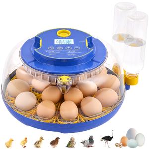 18 Egg Incubator with Auto Turn & Humidity Control, 360 View Poultry Hatcher for Chicken/Duck/Turkey/Quail Eggs - Incubator for Hatching Eggs