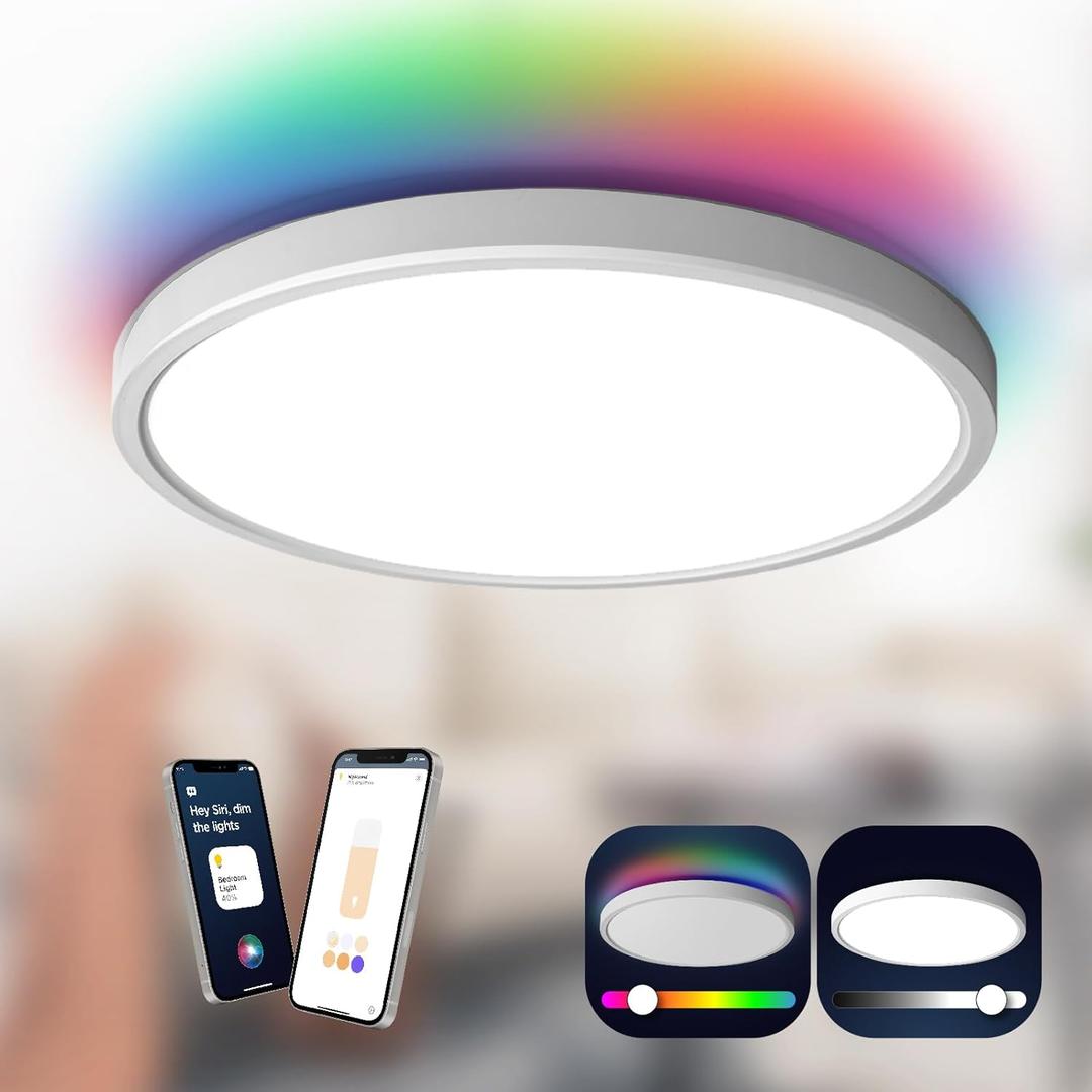 TALOYA Compatible with Apple Homekit/Siri LED Flush Mount Ceiling Light Fixture, 15.8inch 28W Smart Ceiling Light Fixture with RGB Backlight, 3000-6500K Light Changeable, for Living Room, Bedroom