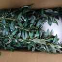 6 FT Faux Olive Tree, Look Real Fake Olive Tree with 4 Natural Thick Trunks & Weighted Pot, Olive Trees Artificial Indoor with Lusher & Fuller Leaves for Indoor Home Office Living Room Outdoor