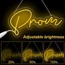 LED Prom Sign 20.08 x 10.43 Inches Acrylic Prom Light up Sign Graduation Party Decoration Neon Graduation Grad Prom Sign Letter Backdrop