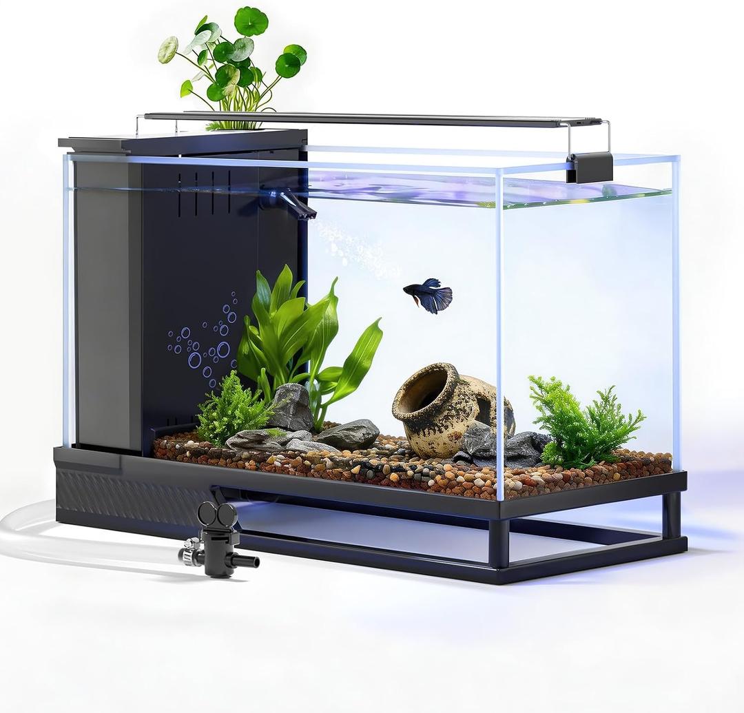 Fish Tank Kit Starter Aquariums 4 Gallon with Bottom Drainage