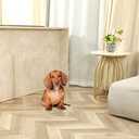 Clear Acrylic Freestanding Dog Gates for The House  Folding 3-Panel Pet Gates for Doorways, Indoor Stairs, and Hallways, Transparent Barrier for Dogs, Puppies, and Cats